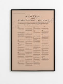 1301_2_2012-11-21-Opdahl3178